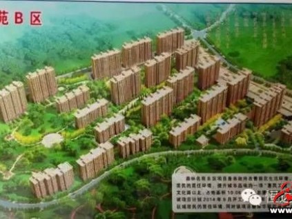 恒達富士電梯喜獲黑龍江雞西市棚戶區(qū)改造133臺項目