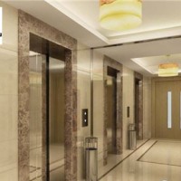 四川中墅電梯源頭定制小型曳引二層三層四層室內(nèi)別墅電梯