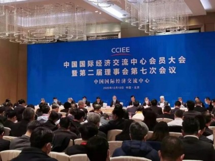 康力電梯董事長(zhǎng)王友林榮任中國(guó)國(guó)際經(jīng)濟(jì)交流中心理事