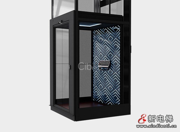 v90 豪華版定制轎廂式別墅電梯