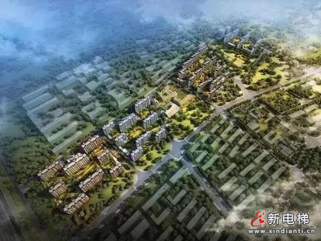 微信圖片_20220101095601