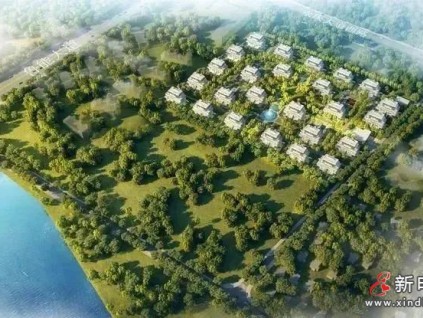 直隸?？?| 萊茵攜手匠心精筑理想海生活