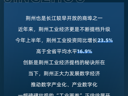 更穩(wěn)的守護｜省級重點項目，用菱王！