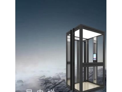 森赫家居電梯丨是電梯 更是藝術(shù)品