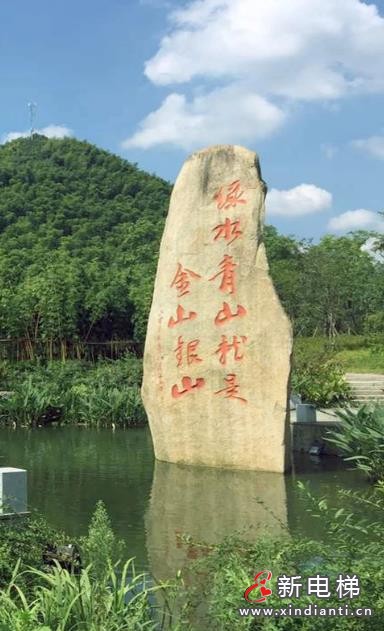 360截圖20240730094039338