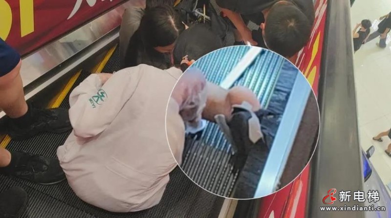 360截圖20240815102330367