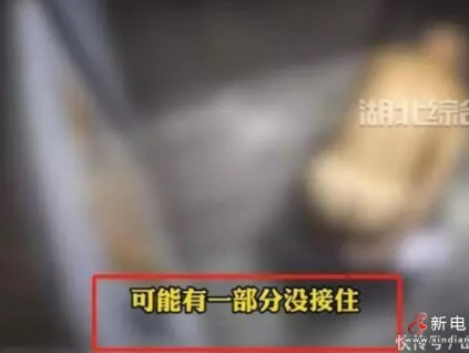 事發(fā)湖北，7旬老人在電梯大便，被物業(yè)無(wú)碼曝光后不堪受辱自殺！兒子回應(yīng)