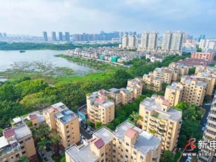 新電梯早新聞 2025年3月3日 二月初四 星期一