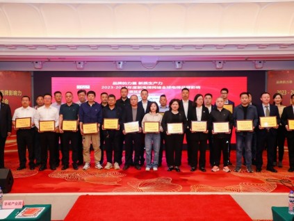 中國新電梯網(wǎng)絡(luò)2024－2025年度中國電梯安裝維保模范單位TOP30、模范個人TOP10評選推薦報名開始