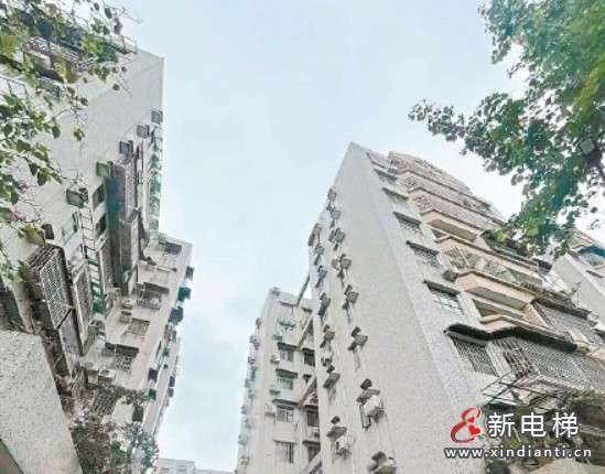 微信截圖_20250604094202