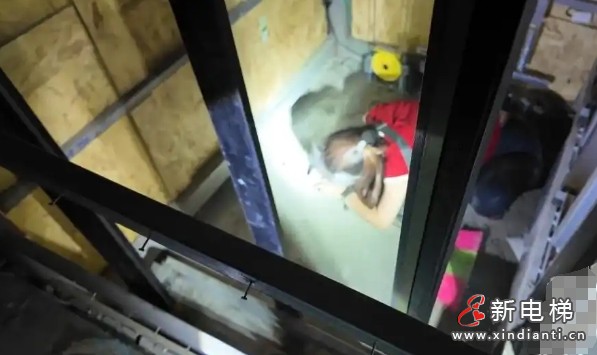 微信截圖_20250619101546