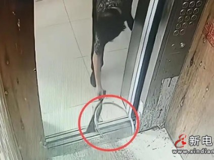 浙江老太"柴刀擋電梯"事件：一個糊涂決定引發(fā)的連鎖災(zāi)難