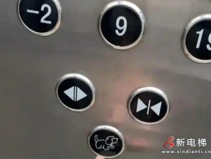 沈陽一小區(qū)電梯增設(shè)小狗按鈕，人性化設(shè)計(jì)化解鄰里矛盾