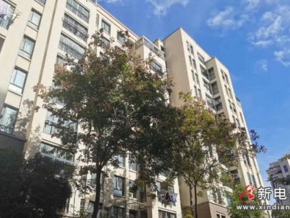 38天煥新30臺電梯！上海楊行鎮(zhèn)創(chuàng)老舊小區(qū)改造‘加速度’