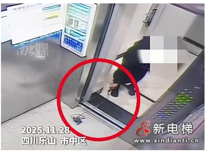 四川樂山一業(yè)主無心之失釀險情 寵物繩卡電梯致急停！