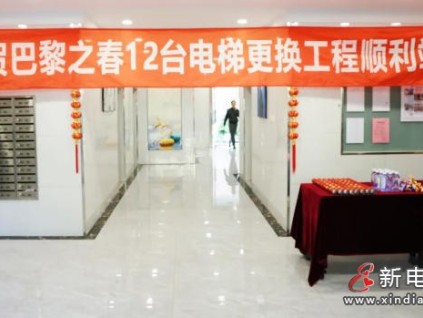 "三位一體"共治成果：上海普陀巴黎之春12部電梯全換新