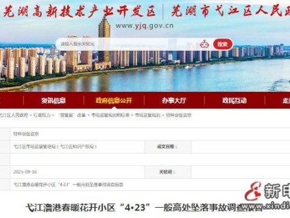 安徽蕪湖弋江澛港某小區(qū)“4.23”高墜事故 未佩戴安全護具，電動環(huán)鏈葫蘆吊鉤脫落