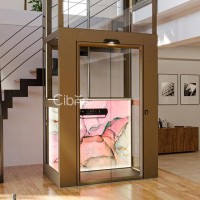瑞典西柏思 S80 平臺(tái)式家用電梯