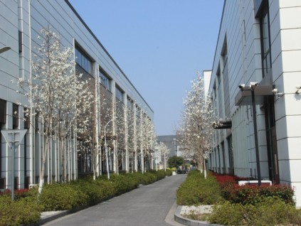 人物專訪｜萬(wàn)修哲副總裁：讓西柏思成為家的首選，共促行業(yè)健康發(fā)展